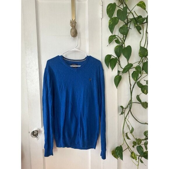 American Eagle men’s size large athletic fit blue shirt - Picture 1 of 7